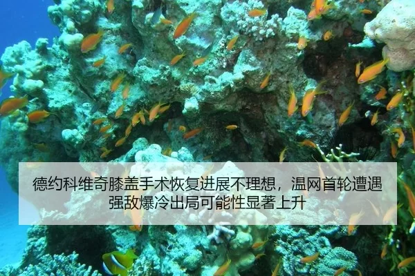 de-yue-ke-wei-qi-xi-gai-shou-shu-hui-fu-jin-zhan-bu-li-xiang-wen-wang-shou-lun-zao-yu-qiang-di-bao-leng-chu-ju-ke-neng-2-775.jpg